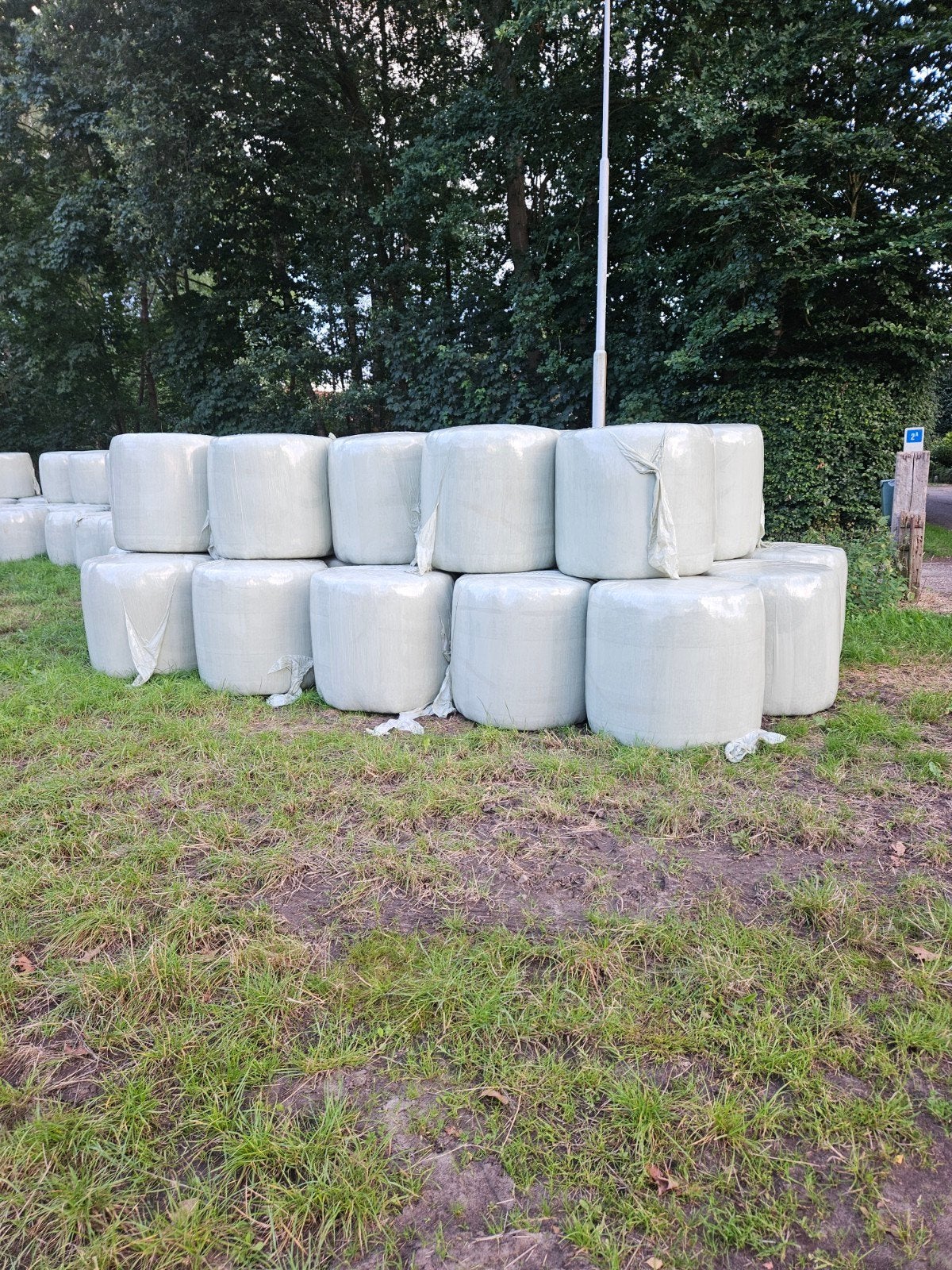 Hooi balen/paardenvoer/ronde baal/kleine pakjes, Dieren en Toebehoren, Ophalen of Verzenden, Vee