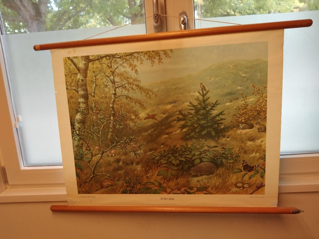 Schoolplaten In het duin, Ophalen of Verzenden, Natuur en Biologie