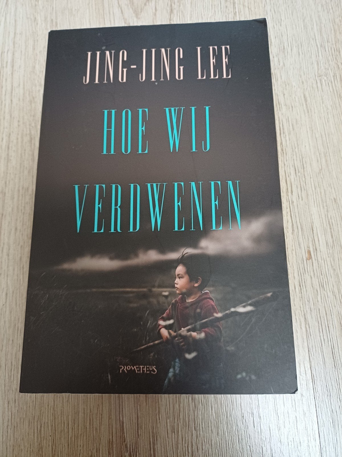 Hoe Wij Verdwenen - Jing-Jing Lee (Paperback), Boeken, Ophalen, Zo goed als nieuw, Jing-Jing Lee, Wereld overig
