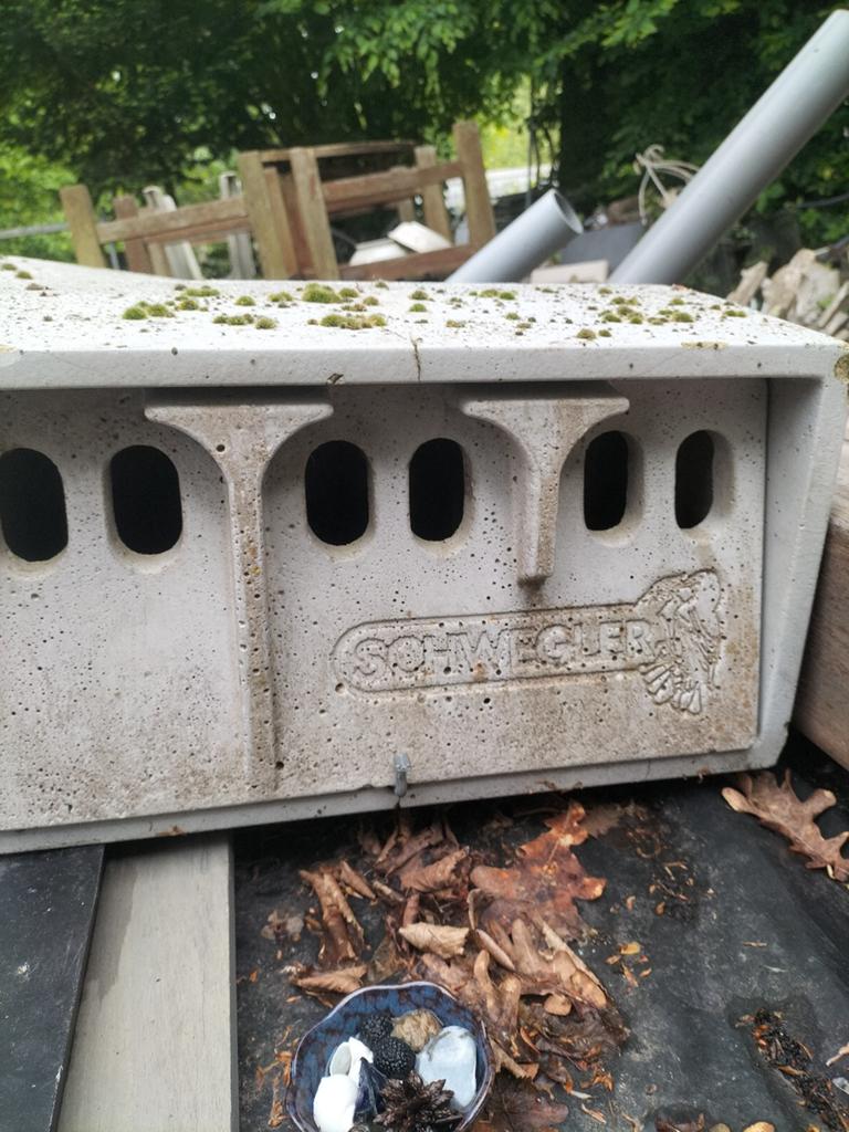 Vogelhuis vogelkast schwegler, Ophalen