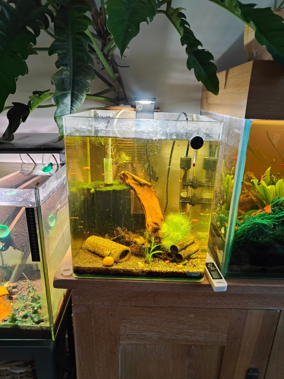 aquarium 30x30x35, Ophalen, Dennerle, Zo goed als nieuw, Leeg aquarium