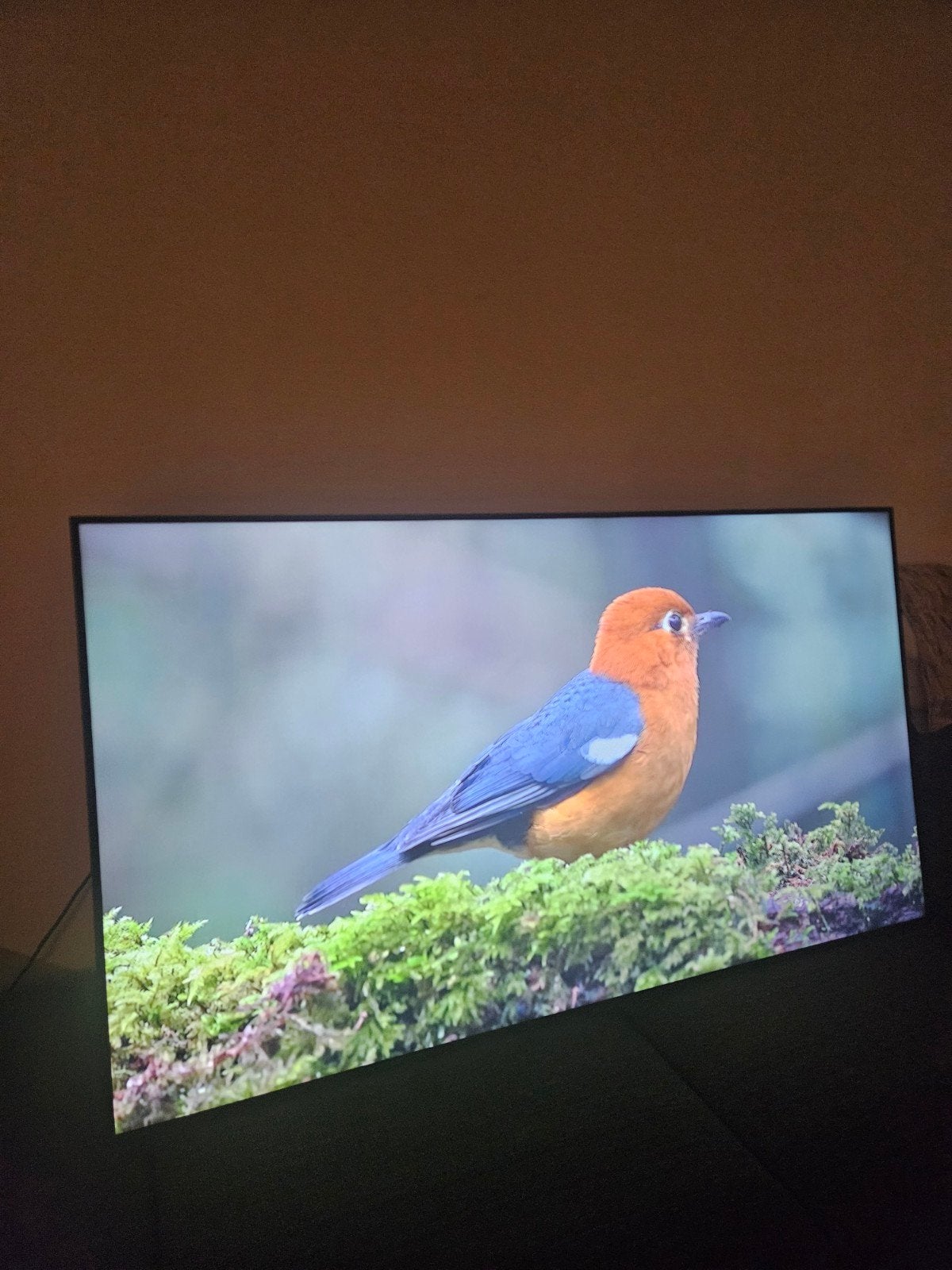 Grote Samsung 70 inch Smart TV met afstandsbediening, Ophalen of Verzenden, Gebruikt