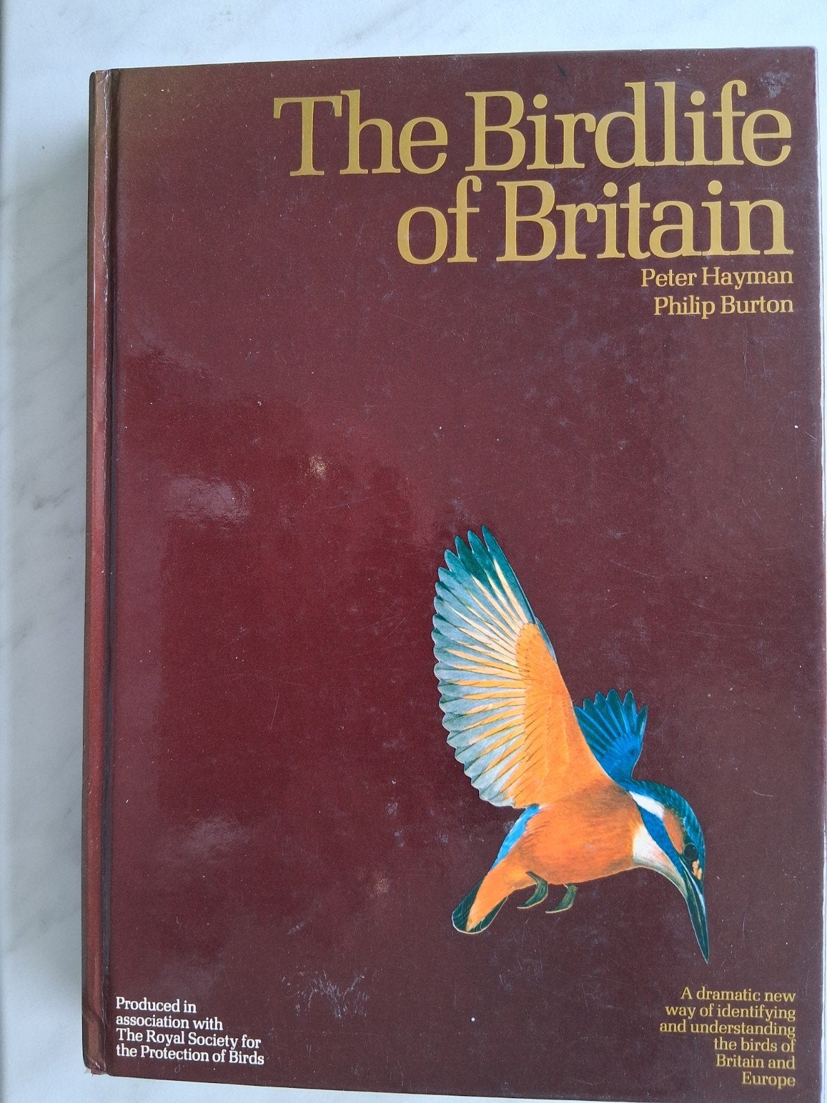 The Birdlife of Britain by Peter Hayman & Philip Burton, Ophalen of Verzenden, Zo goed als nieuw, Vogels, Philip Burton