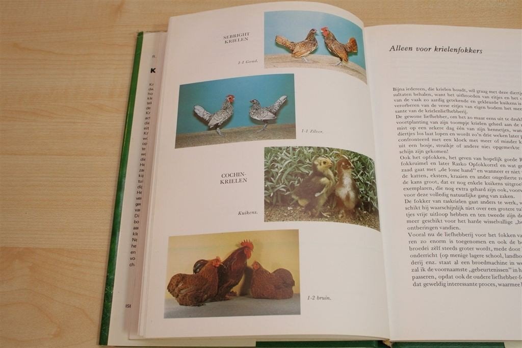 Krielkippen — Houden, Broeden en Opfokken van Dwerghoenders, Boeken, Ophalen of Verzenden, Gelezen, Katten
