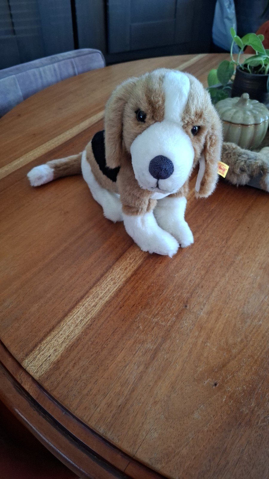 Steiff Nelly the Beagle, Ophalen of Verzenden, Zo goed als nieuw