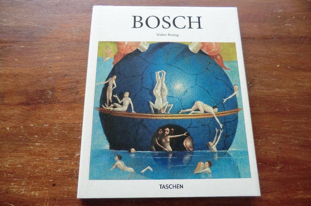 boek - Jheronimus Bosch - Walter Bosing, Ophalen of Verzenden, Gelezen, Schilder- en Tekenkunst