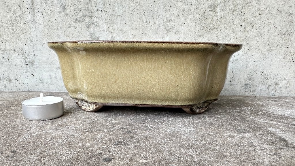 Bonsai schaal pot 20,5x16x7cm *****, Rond, Ophalen of Verzenden, Zo goed als nieuw, Aardewerk
