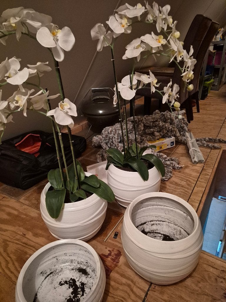 grote potten met 2 kunstof orchidee van intratuin, Ophalen, Rond, Binnen, Zo goed als nieuw