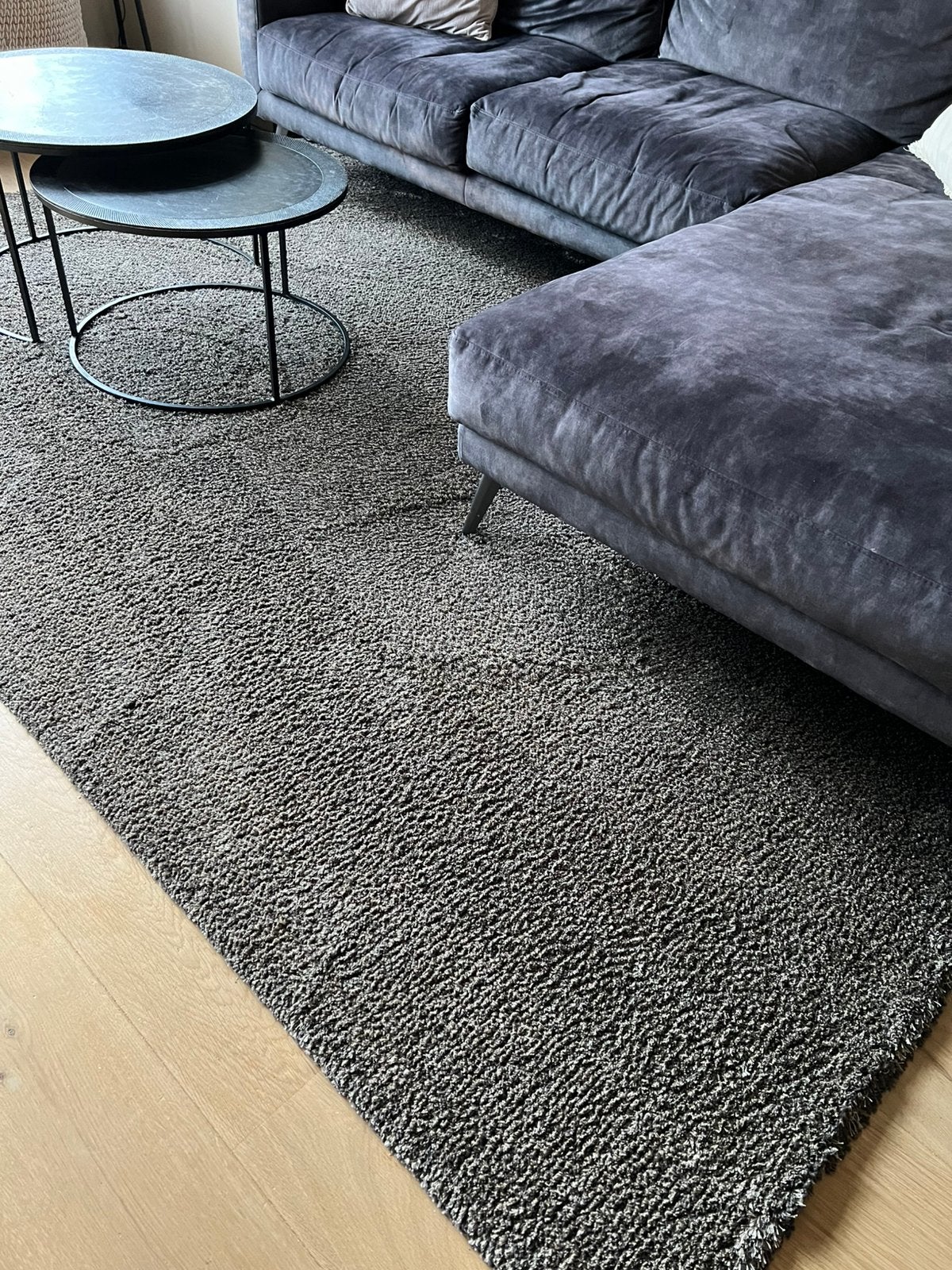 Vloerkleed, Ophalen, Gebruikt, Bruin, Hotel chique