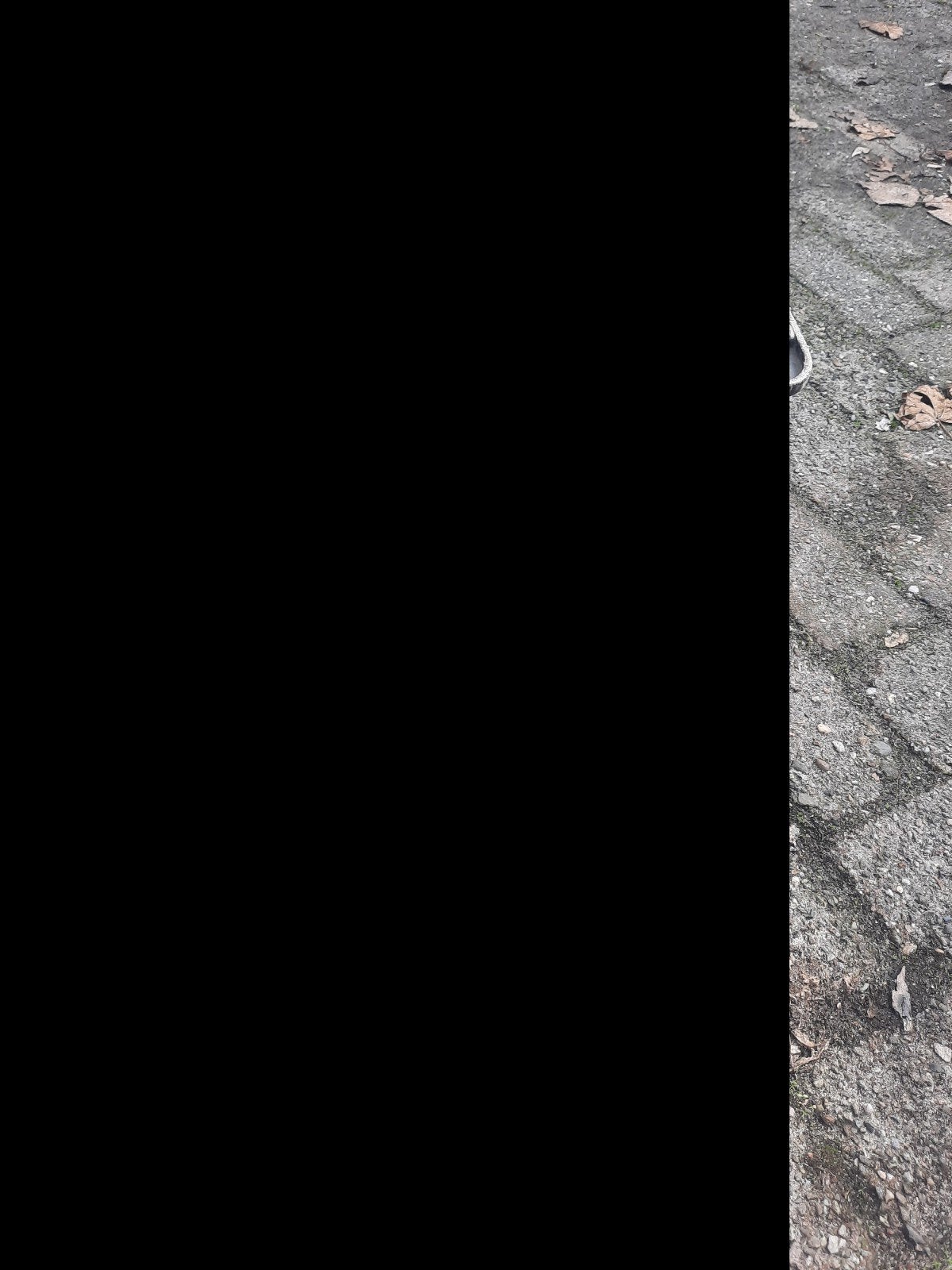 zwarte stevige fietskratten 6 stuks, Ophalen of Verzenden, Gebruikt