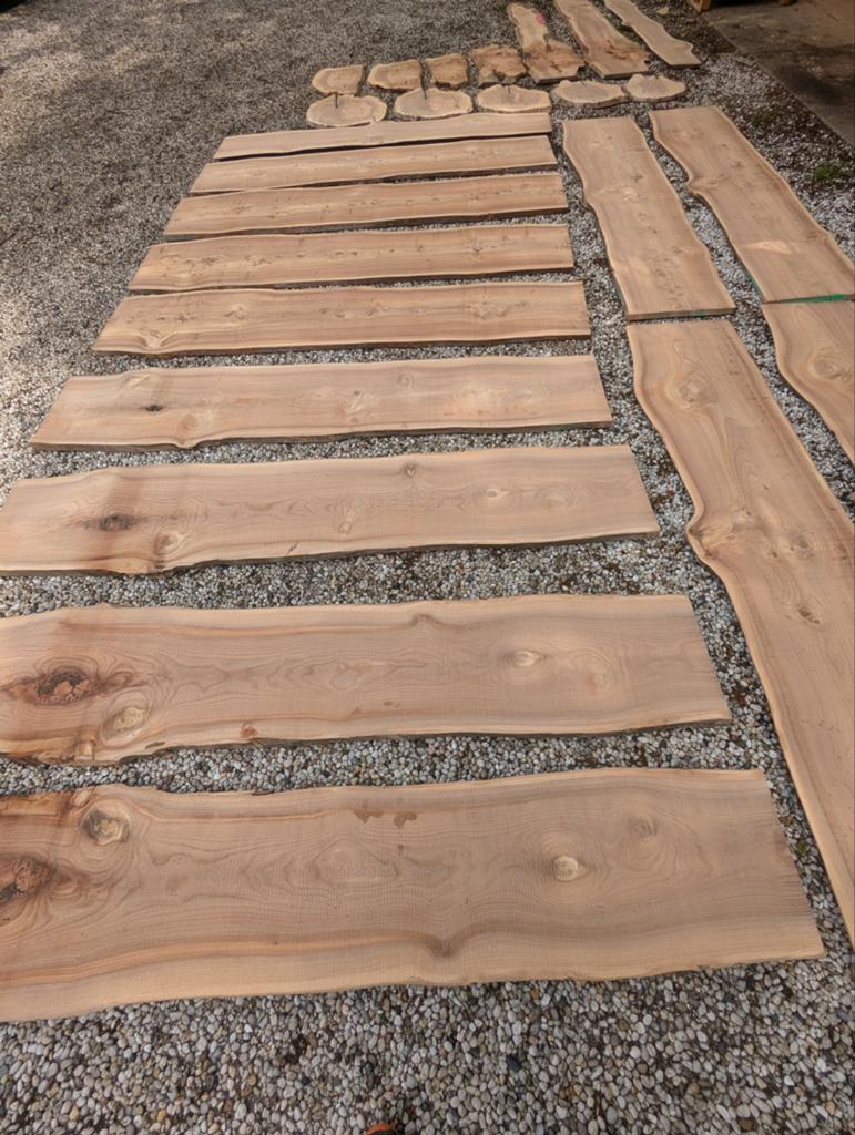 Planken iepen hout., Doe-het-zelf en Verbouw, Hout en Planken, Ophalen, 25 tot 50 mm, Nieuw, 200 tot 250 cm