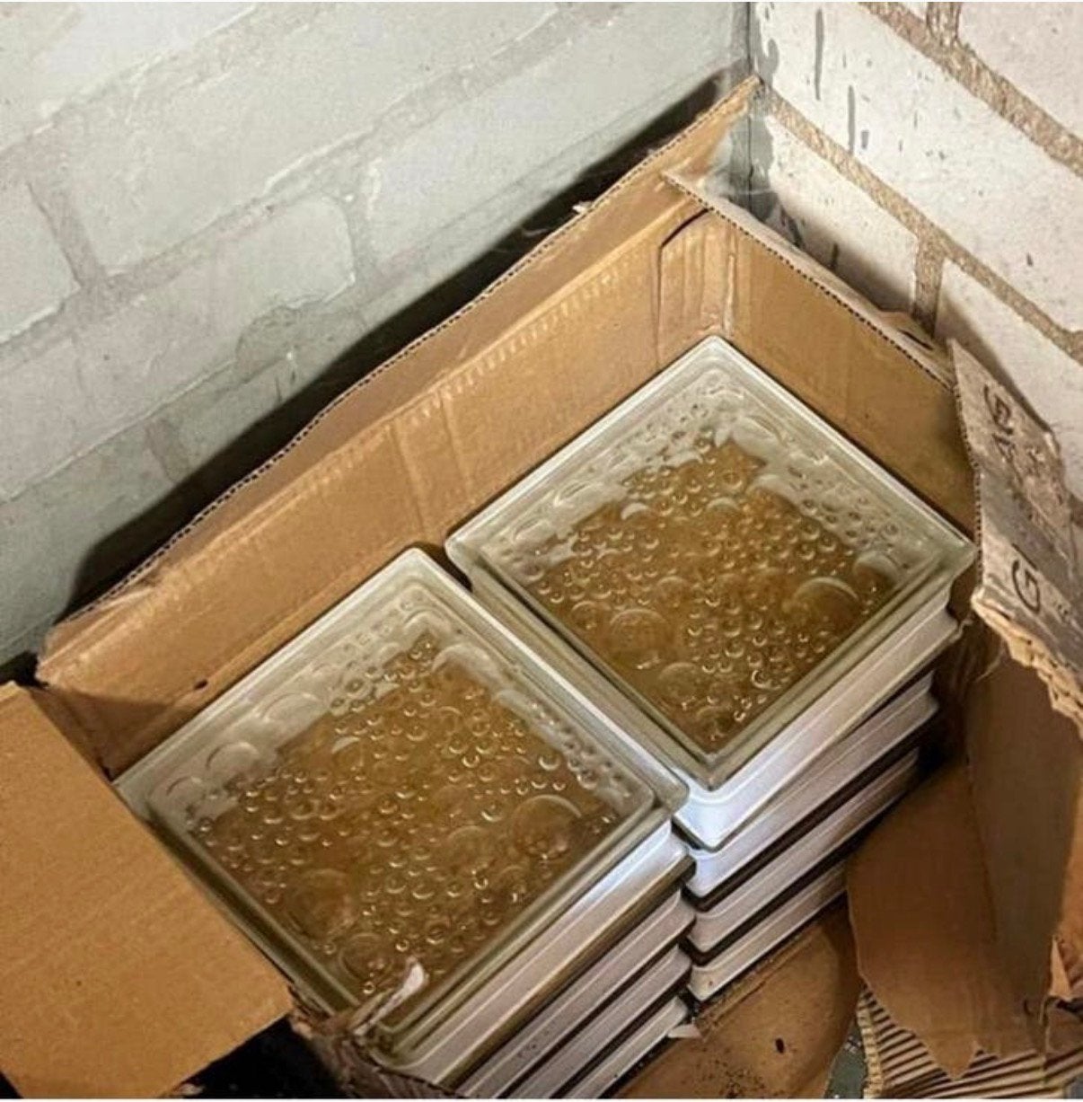 Glazen bouwsteen glasblok Oberland Glas AG 10 x, Ophalen, Nieuw, Minder dan 80 cm, Overige typen