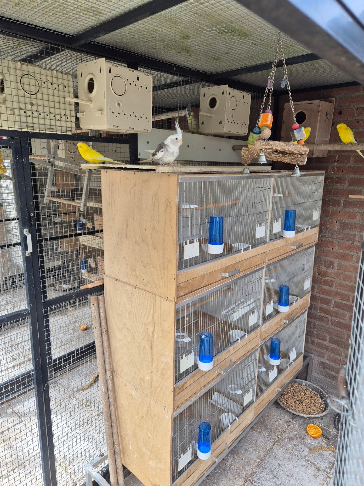 3 broedkooien, Dieren en Toebehoren, Ophalen of Verzenden, Hout, Broedkooi of Kweekkooi