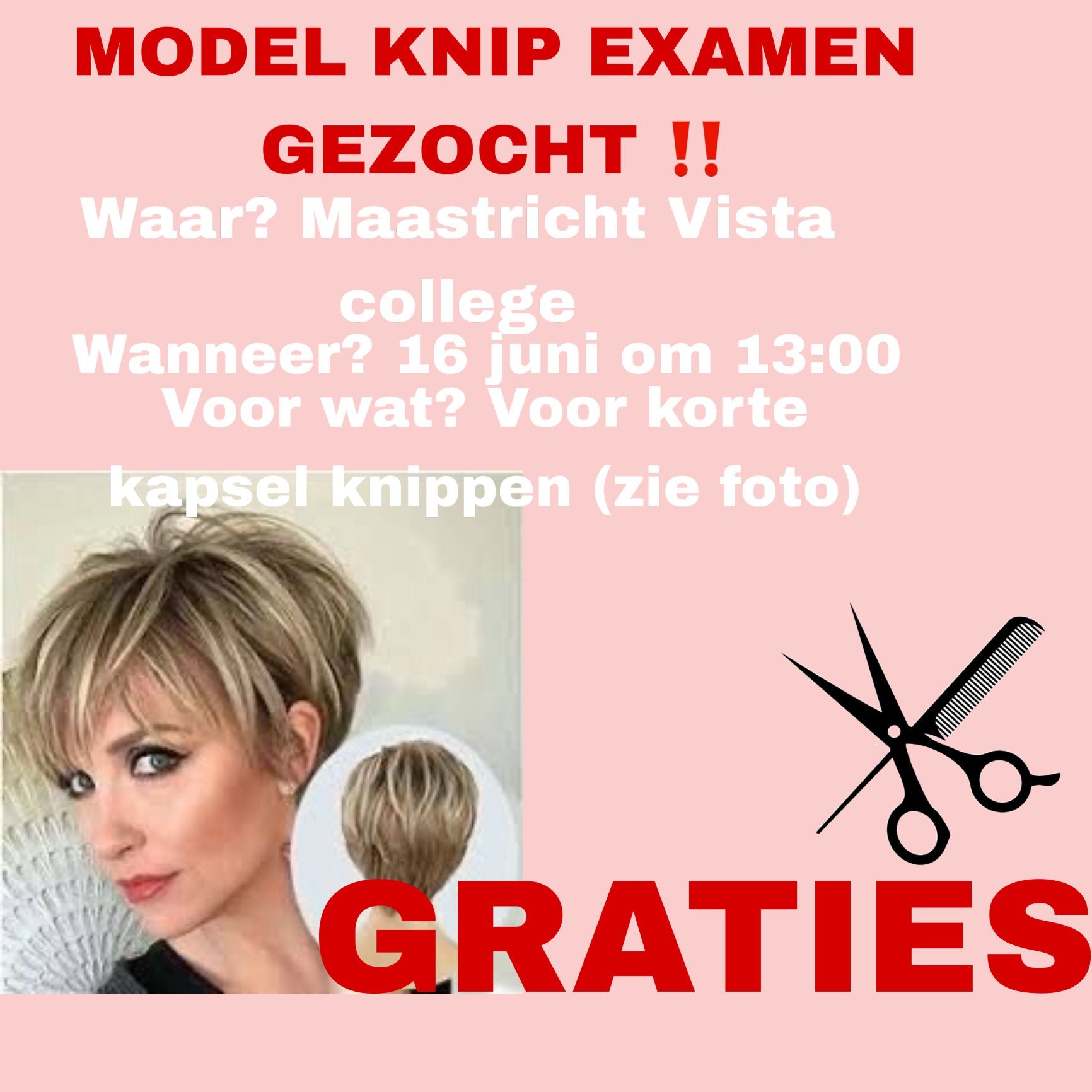 Model knip examen gezocht, Ophalen