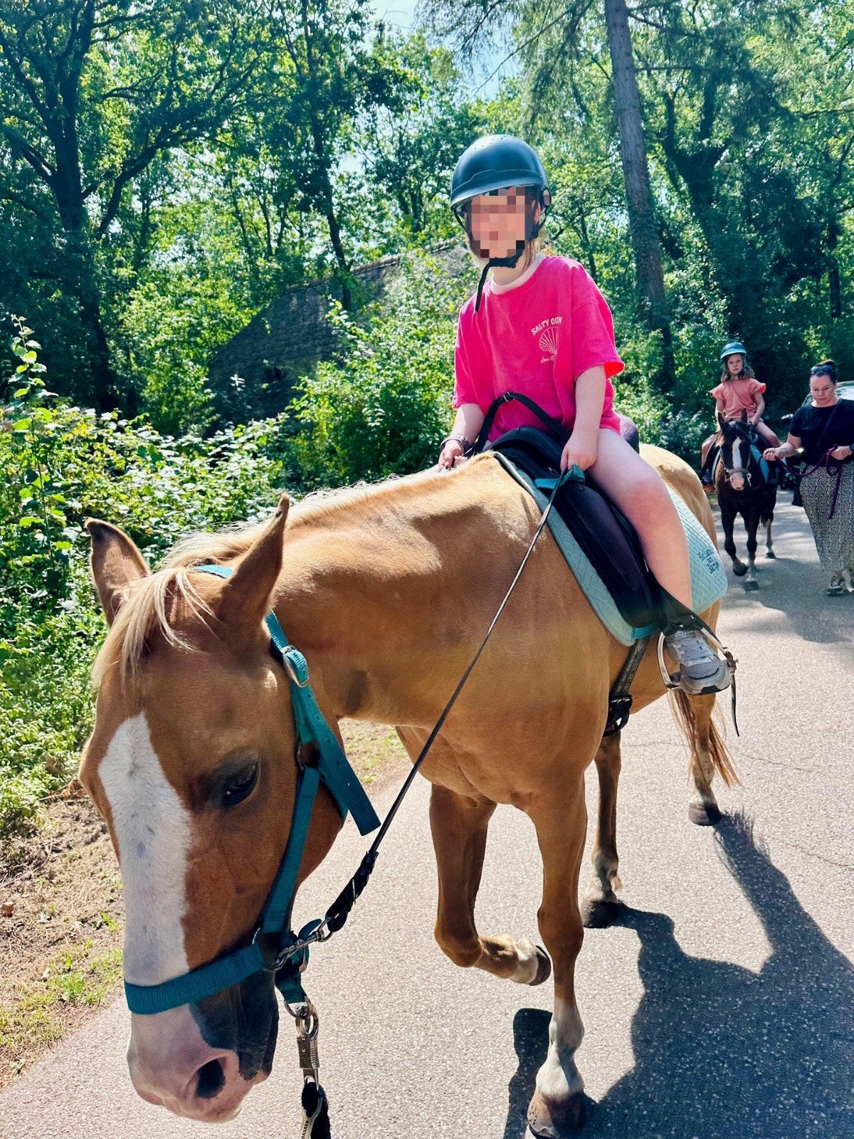 Gratis verzorgpony gezocht, Ophalen of Verzenden
