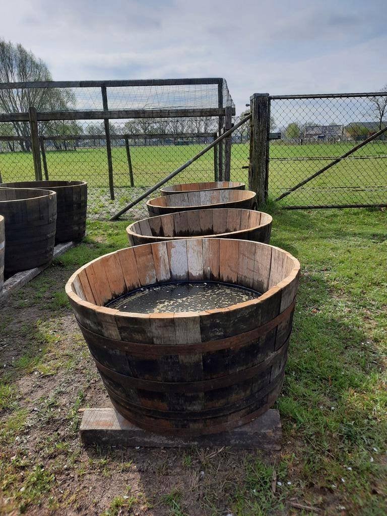 GROTE houten kuipen bloembakken dompelbad olijfboom palmboom, Ophalen, Rond, Nieuw, 60 tot 100 cm