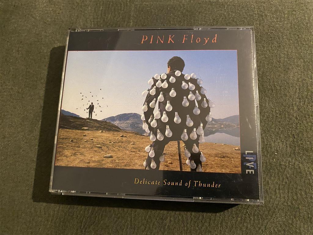 pink floyd - delicate sound of thunder live [945], Cd's en Dvd's, Cd's | Rock, Verzenden, Zo goed als nieuw, Poprock