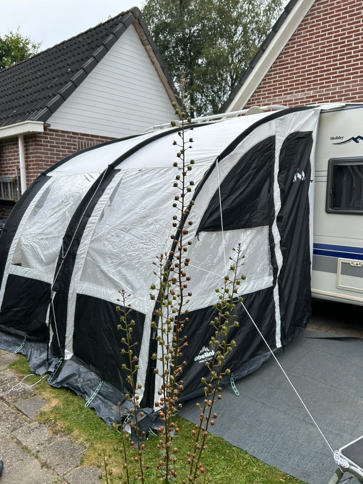 Voortent Viera 260 black, Caravans en Kamperen, Caravan accessoires, Ophalen