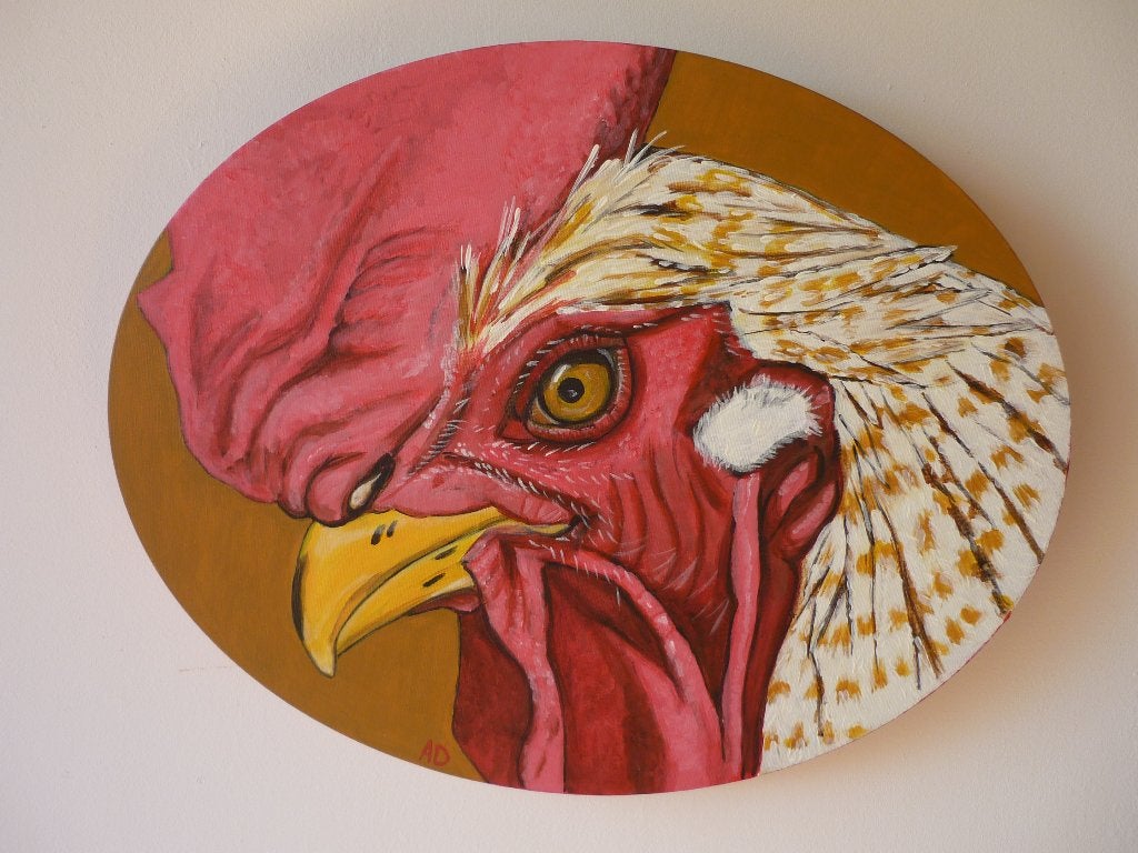 Haan, Ophalen of Verzenden