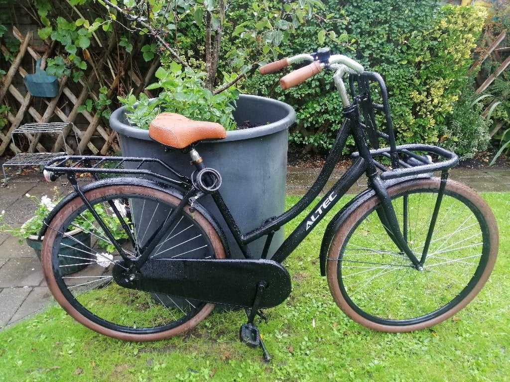 Altec Transportfiets met bagagerekje voorop, Overige merken, Terugtraprem, Gebruikt, (Extra) lage instap