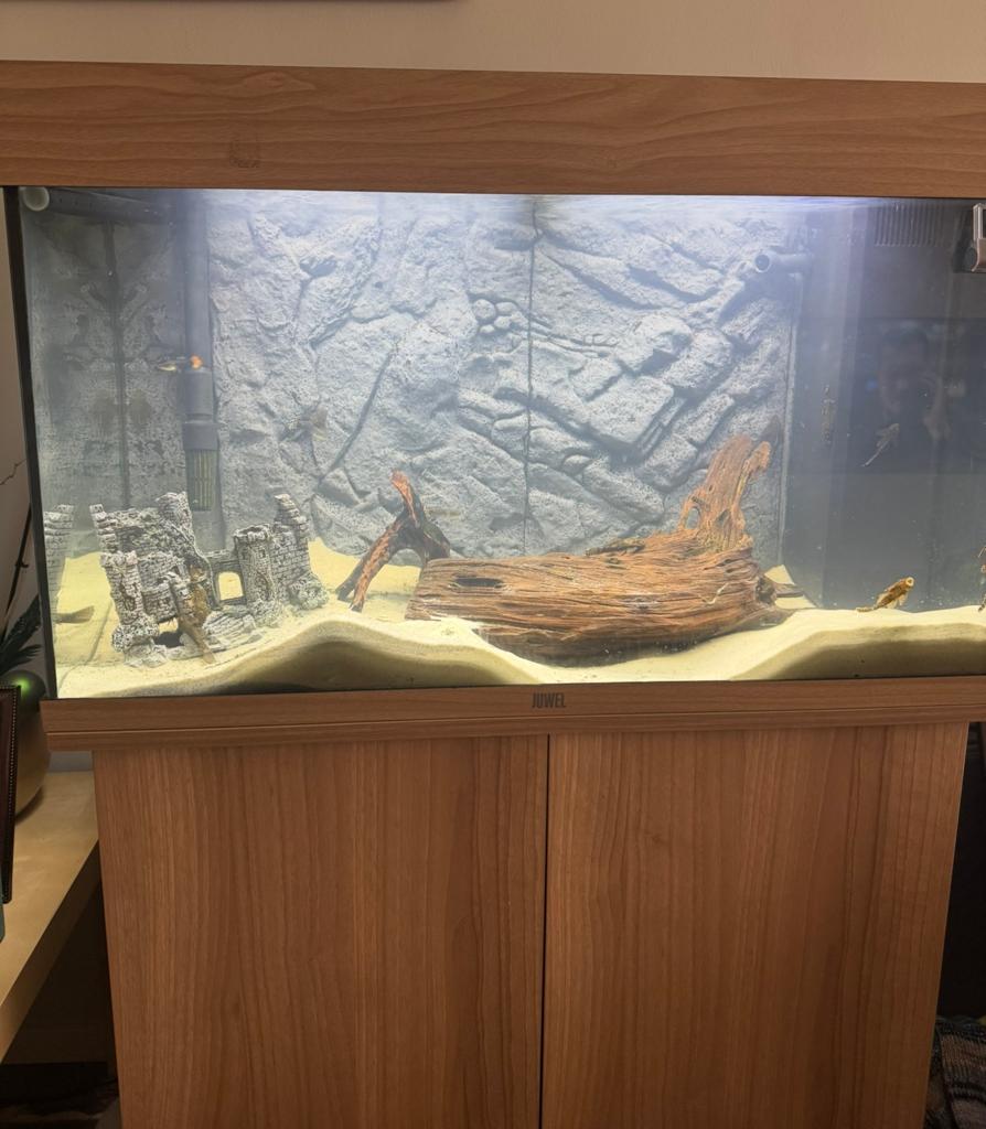 Juwel aquarium met onderkast, Dieren en Toebehoren, Vissen | Aquaria en Toebehoren, Ophalen of Verzenden, Zo goed als nieuw, Leeg aquarium