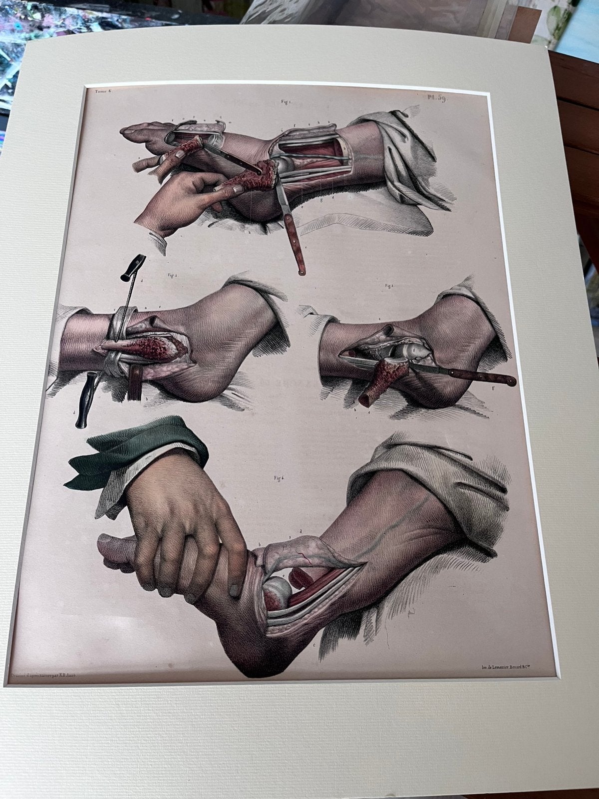2 Handgekleurde litho’s 1893 Zie beschrijving, Ophalen of Verzenden