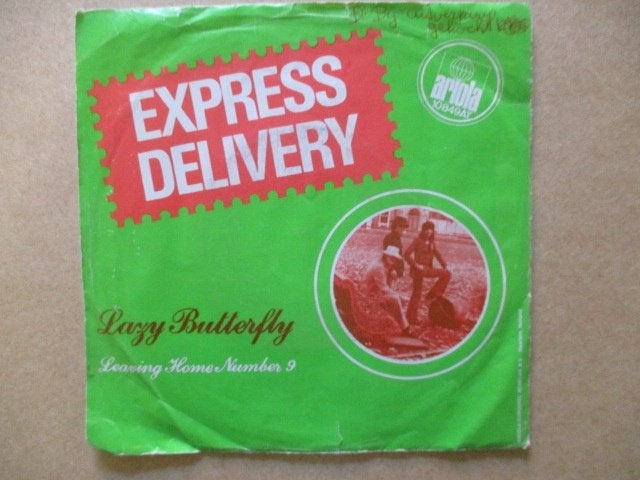 s1945 express delivery - lazy butterfly, Ophalen, Gebruikt, 7 inch, Overige genres