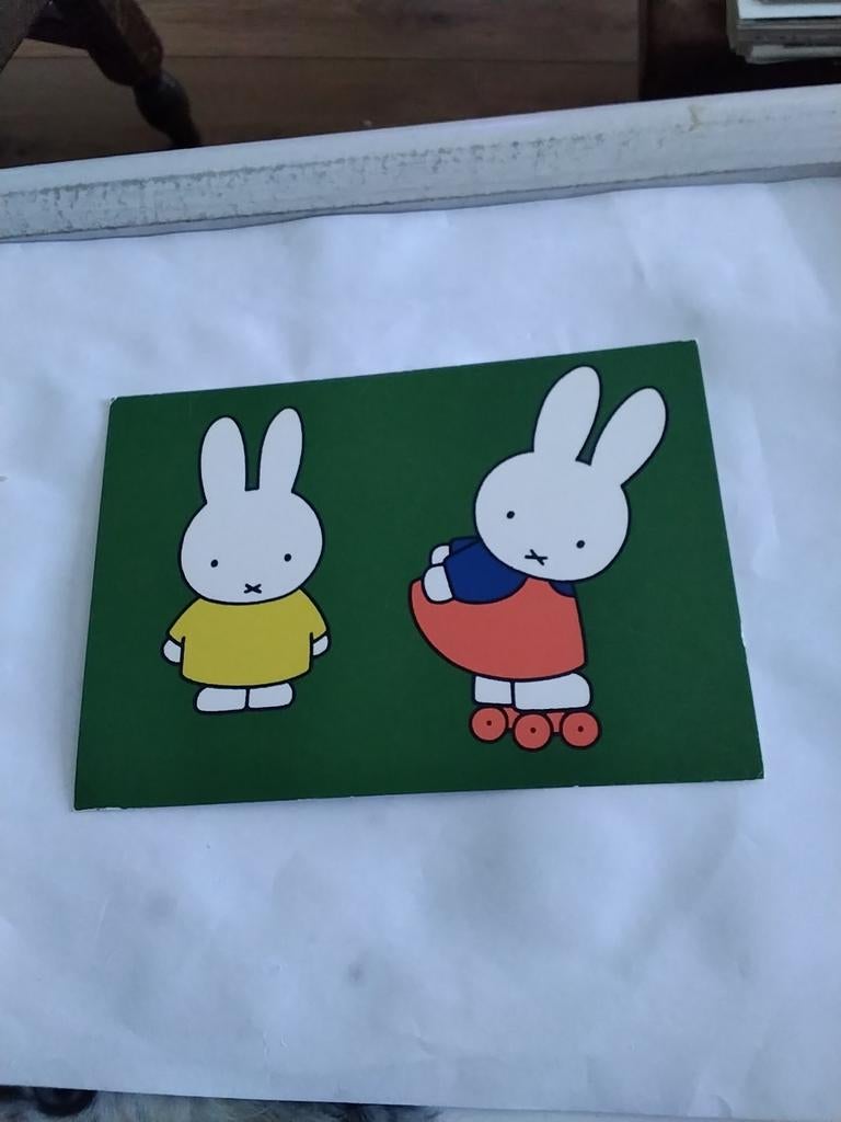 NIJNTJE OP ROLSCHAATSEN - DICK BRUNA 1988, Ophalen of Verzenden