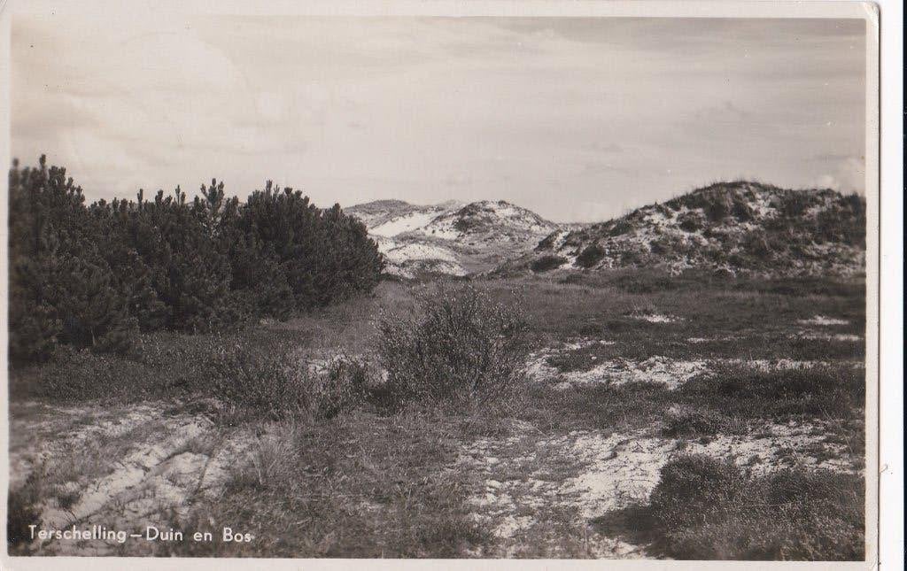 terschelling  duin en bos tekst  zegel  1941 !, Ophalen of Verzenden, Voor 1920, Noord-Brabant