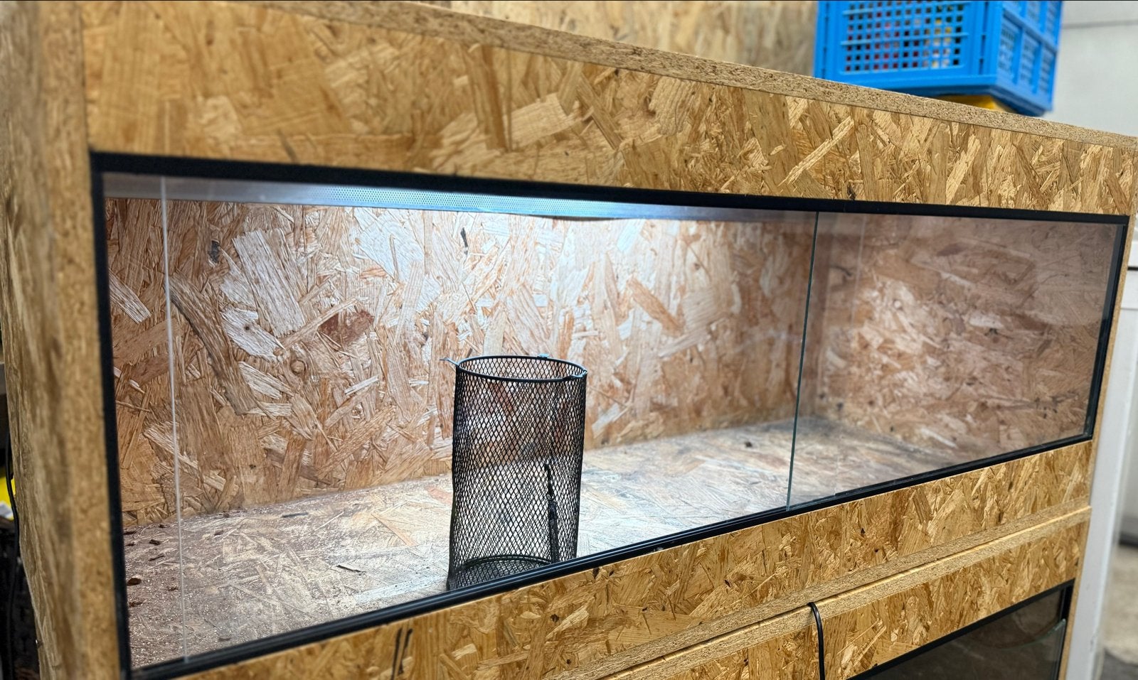 Terrarium 120x50x50, Dieren en Toebehoren, Ophalen, Zo goed als nieuw, Terrarium of Paludarium