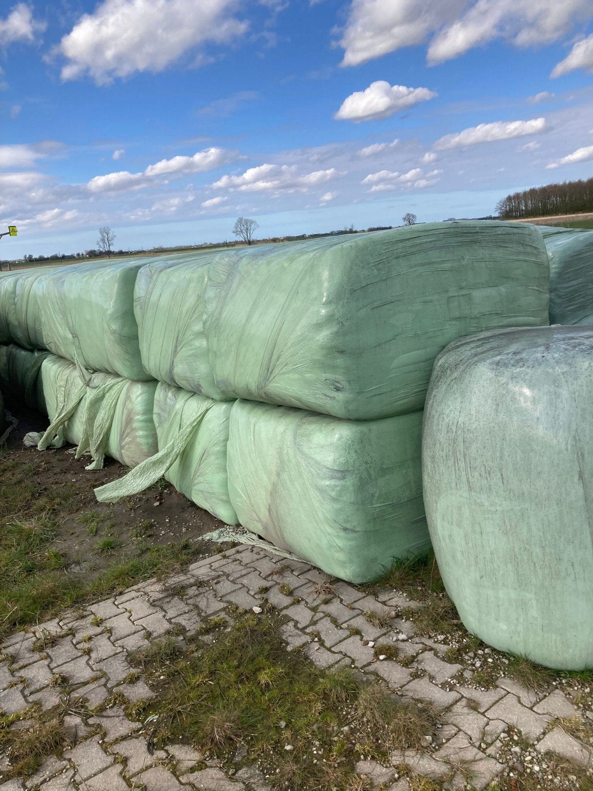 GEZOCHT kuilbalen kuil vierkante balen ronde balen, Dieren en Toebehoren, Dierenvoeding, Ophalen, Vee