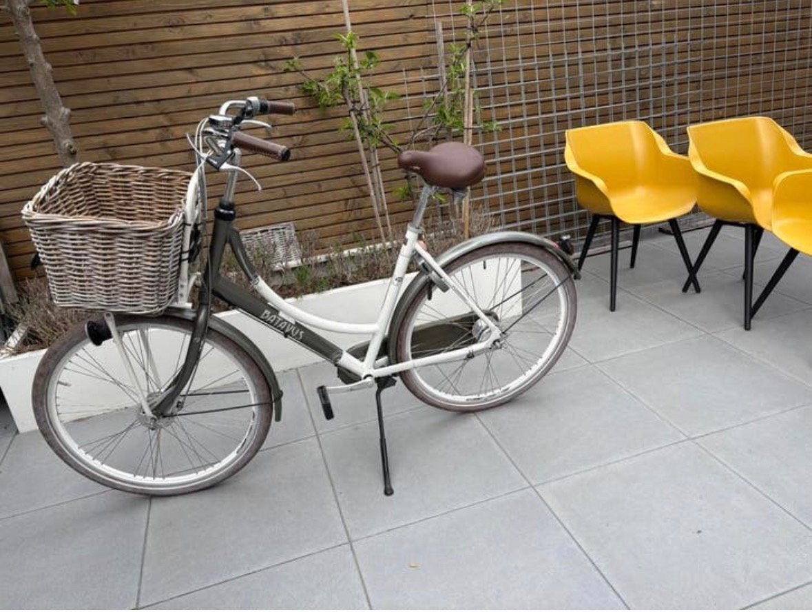 Batavus Flying damesfiets (in prijs verlaagd!), Ophalen, 2 zitjes, Versnellingen, Batavus