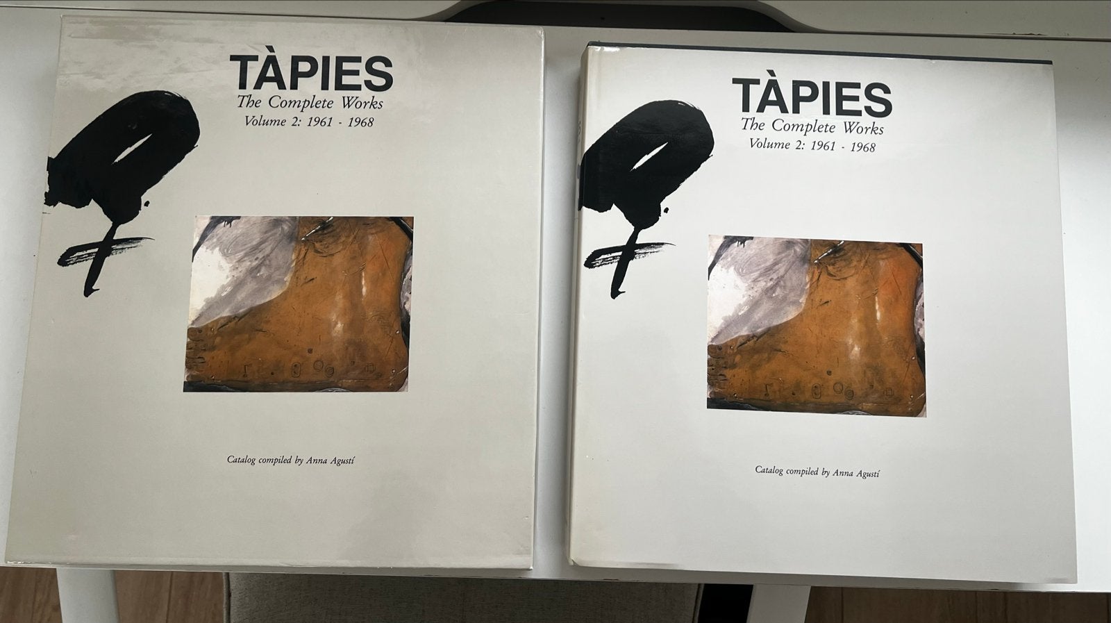 Antoni Tàpies-Complete Works Vol. 2: 1961–1968 (Anna Agustí), Boeken, Ophalen of Verzenden, Zo goed als nieuw, Schilder- en Tekenkunst