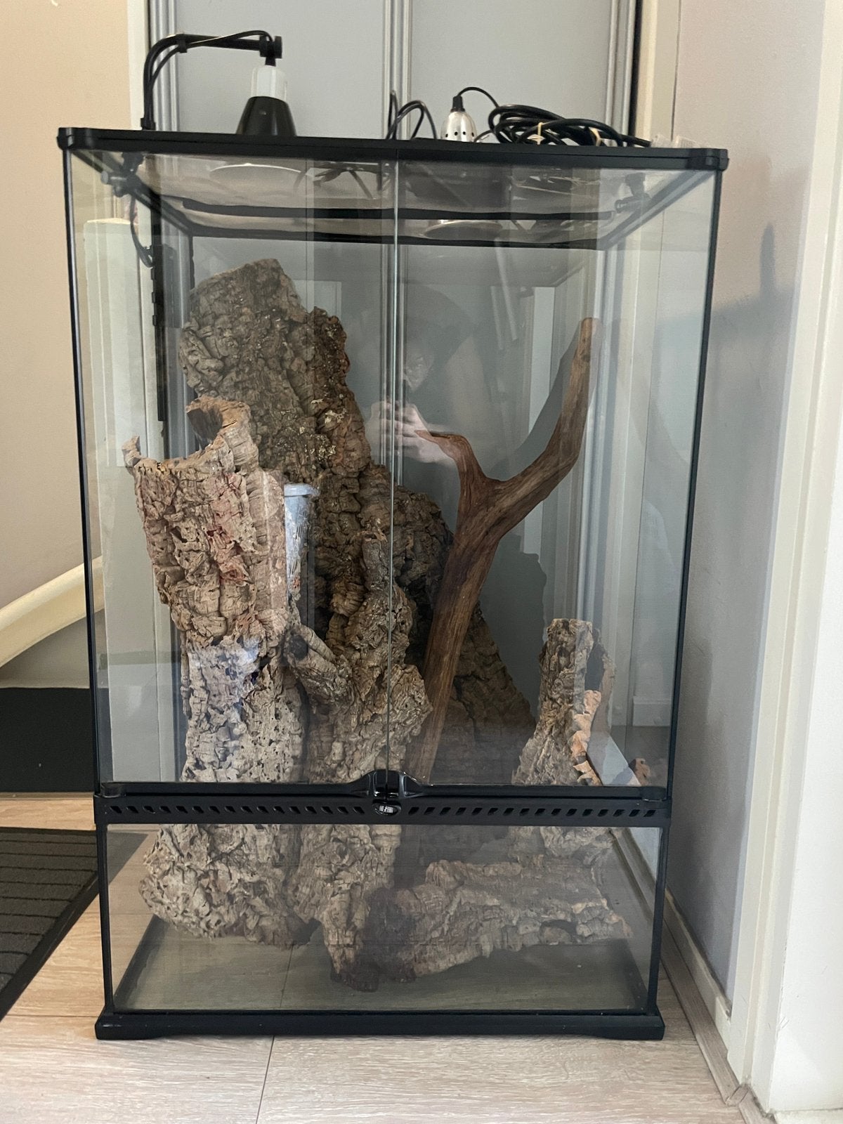 Exo terra terrarium, Dieren en Toebehoren, Reptielen en Amfibieën | Toebehoren, Ophalen, Zo goed als nieuw, Terrarium of Paludarium