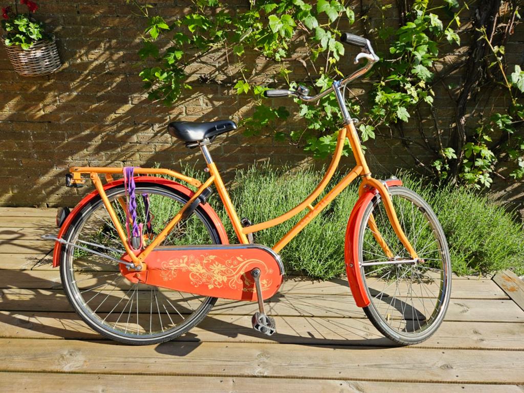 Gazelle madelief meisjessfiets 24inch - Oranje/Rood, Ophalen, Gebruikt, Gazelle, (Extra) lage instap