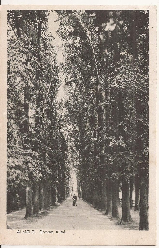 Almelo Graven Alleé 30er jaren Uitg. J.H.v.d. Wurp, Ophalen of Verzenden, 1920 tot 1940, Gelopen, Overijssel