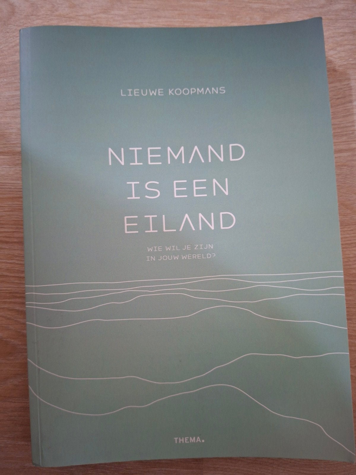 Niemand is een eiland boek, Ophalen of Verzenden, Zo goed als nieuw