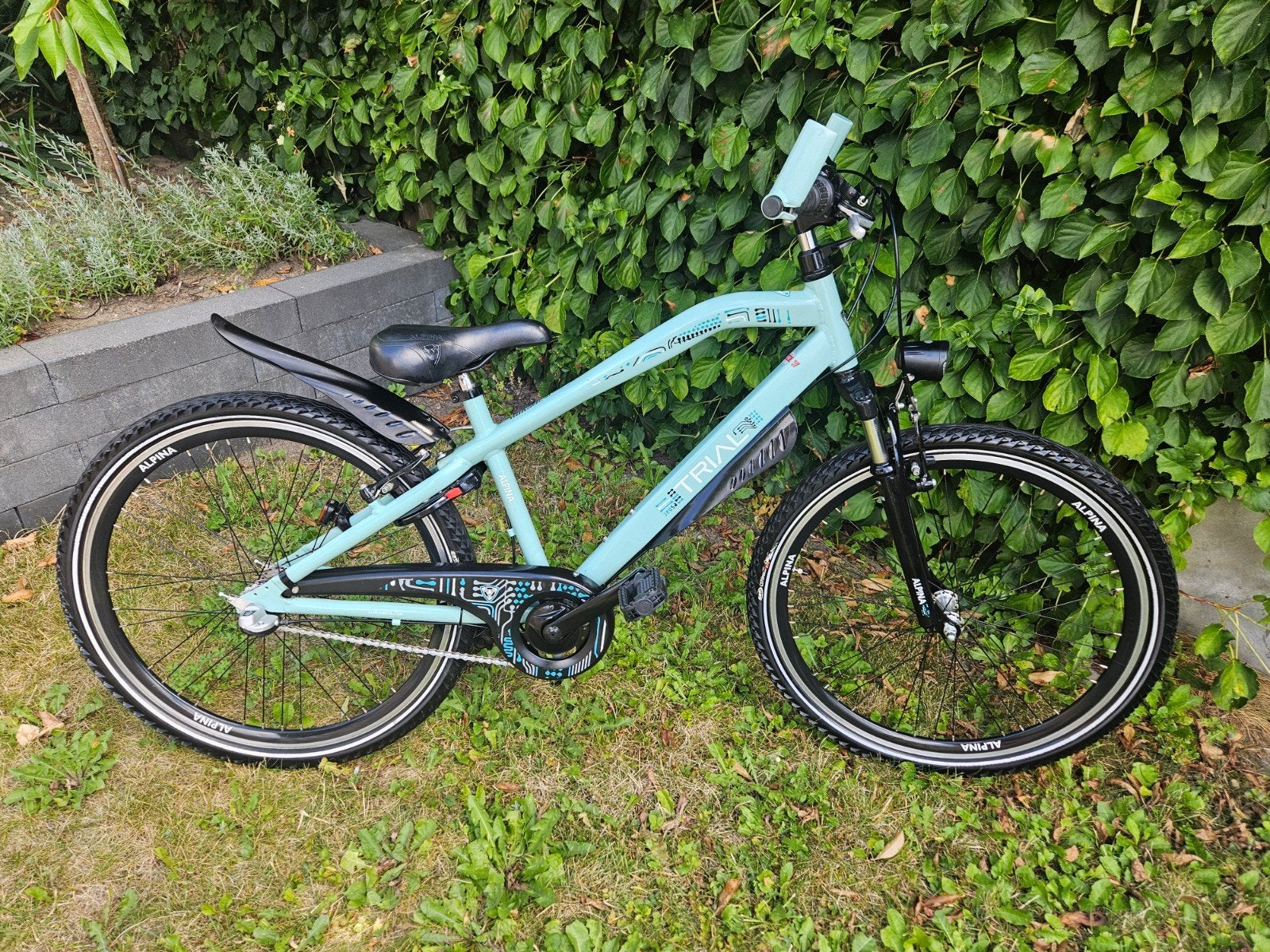 prachtige alpina trial 26 INCH  in Nieuwstaat, Ophalen, Terugtraprem, 24 inch, Versnellingen