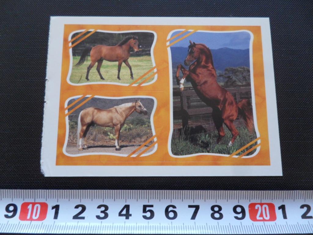 sticker set Paard Paarden GD059, Ophalen, Zo goed als nieuw