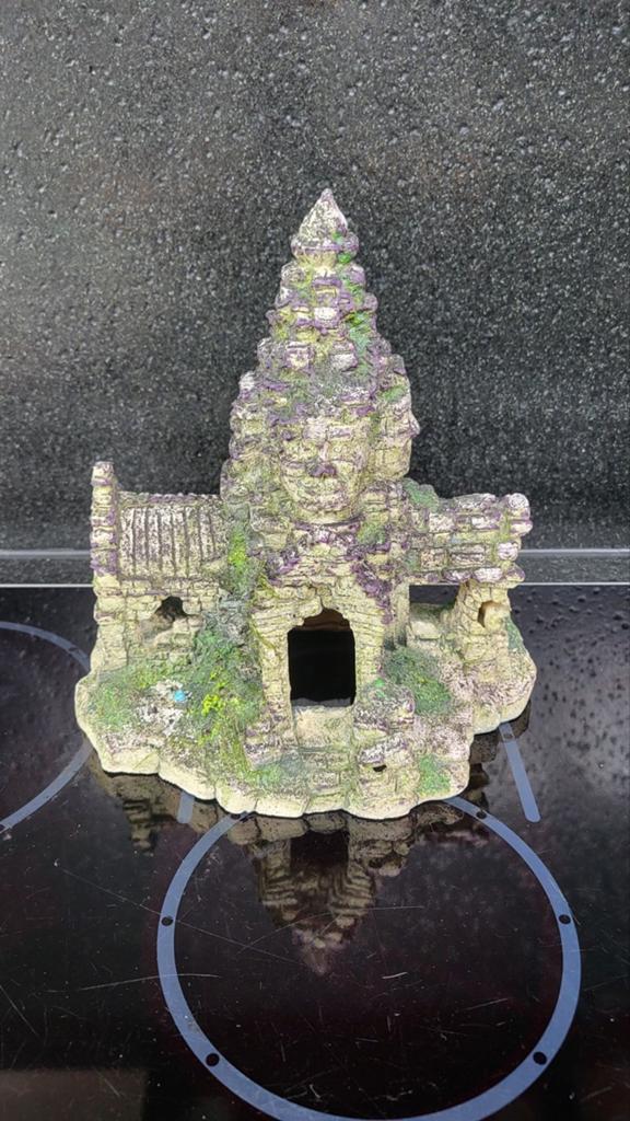 Tempel aquarium, Ophalen, Gebruikt, Leeg aquarium
