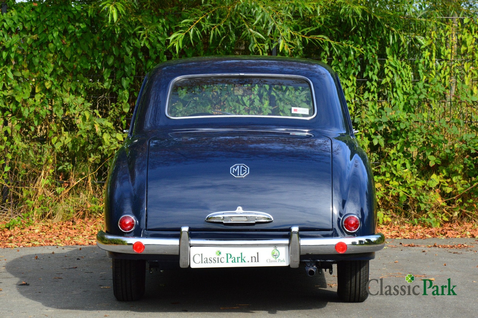 MG Magnette Saloon (bj 1958), foto 4