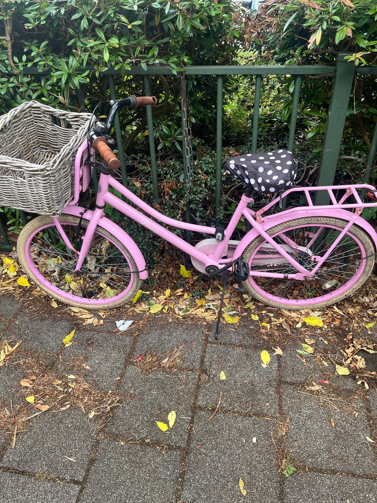 Roze kinderfiets met mandje - Gebruikt, Ophalen, Gebruikt, Terugtraprem, 20 inch of meer