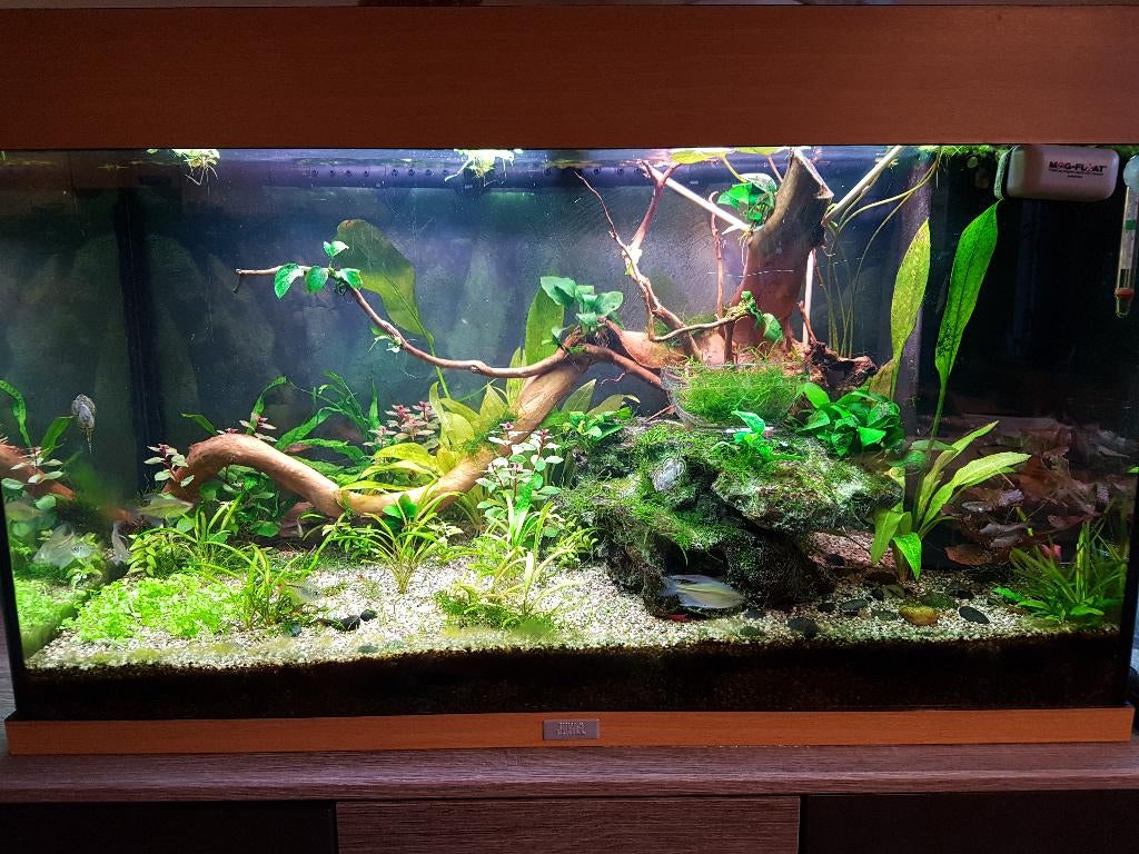 Compleet Juwel Rio 125 + HeliaLux Spectrum & SmartControl, Dieren en Toebehoren, Vissen | Aquaria en Toebehoren, Ophalen, Gebruikt