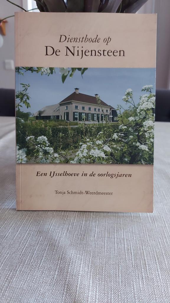 Dienstbode op De Nijensteen - Tonja Schmidt-Weerdmeester, Ophalen of Verzenden, 20e eeuw of later, Zo goed als nieuw, Tonja Schmidt-Weerdmeester