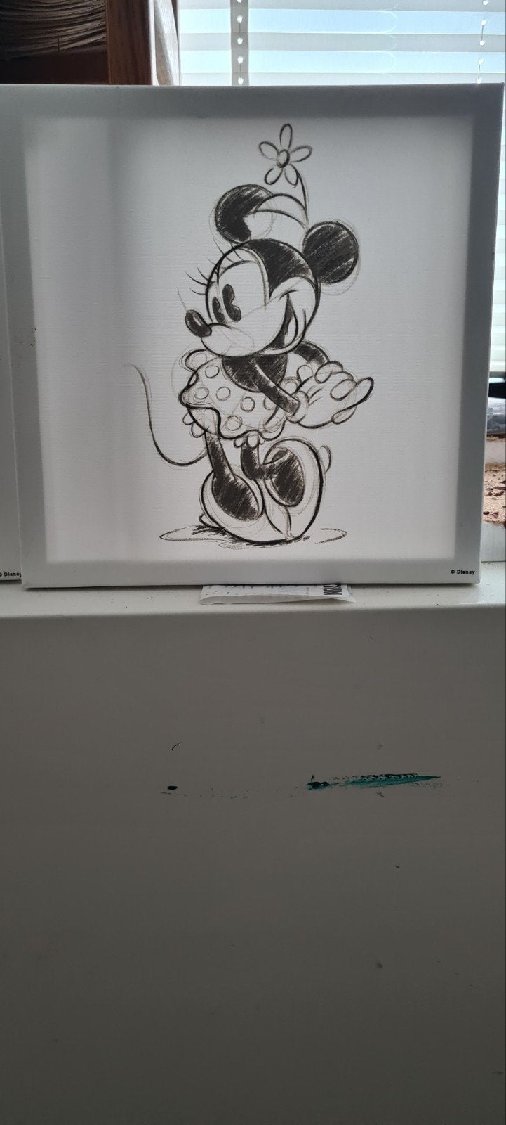 3 leuke Mickey en Minnie Mouse lijstjes, Ophalen