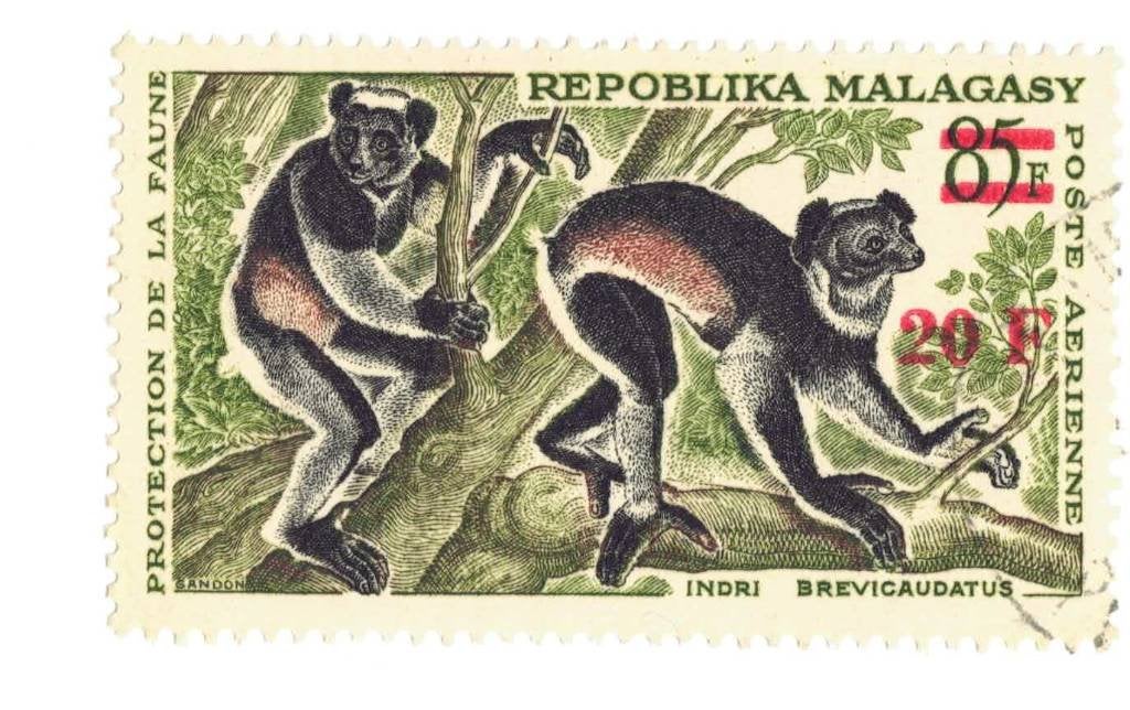 Fauna - Dieren - Aap - Malagasy - gebr, Ophalen of Verzenden, Gestempeld, Dier of Natuur