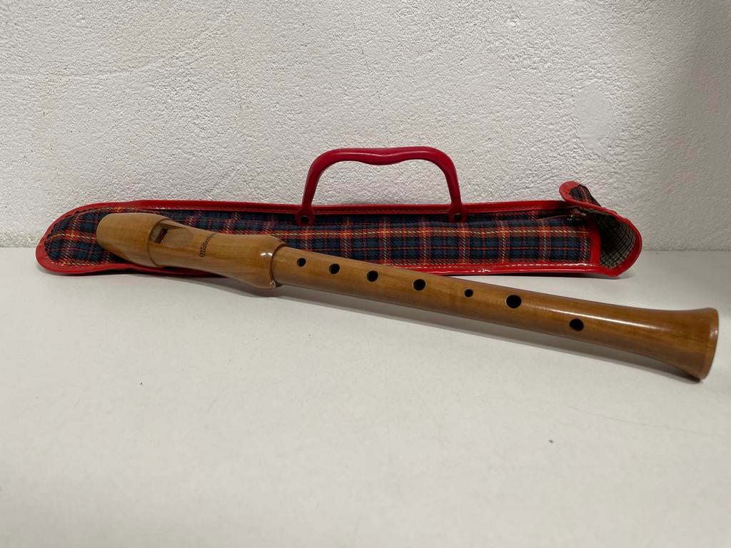 Mollenhauer blokfluit met etui, Muziek en Instrumenten, Blaasinstrumenten | Blokfluiten, Ophalen of Verzenden, Zo goed als nieuw