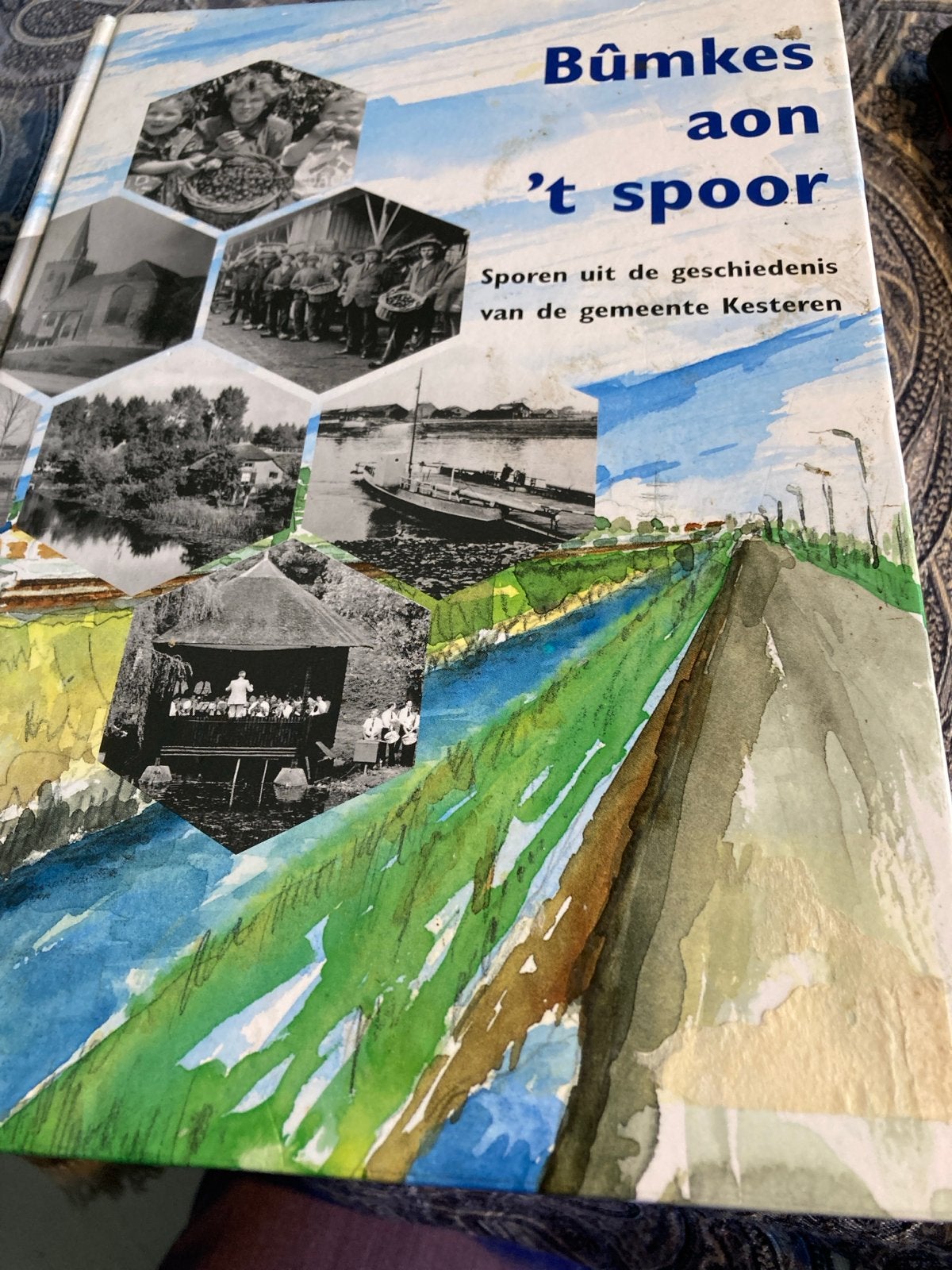 Bûmkes aon 't spoor - Geschiedenis gemeente Kesteren, Ophalen of Verzenden, 20e eeuw of later, Gelezen, Europa