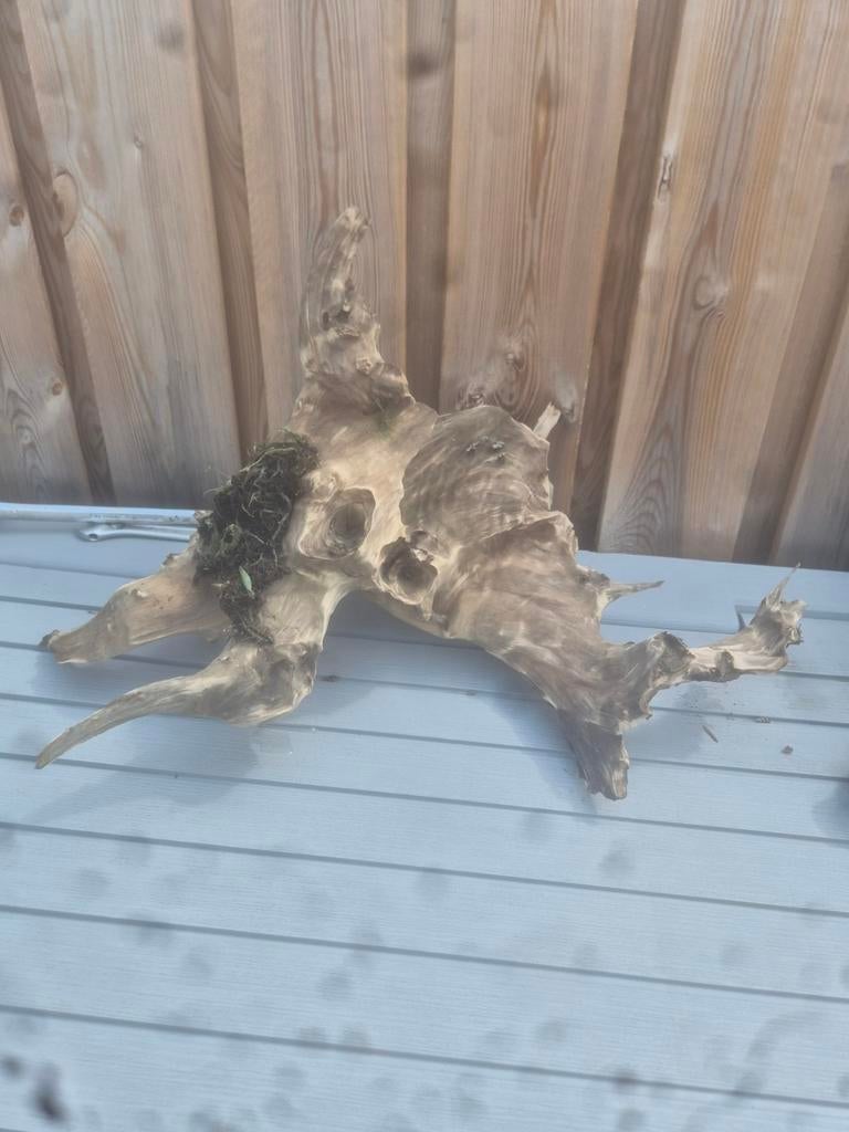 Mooi stuk aquarium hout!, Dieren en Toebehoren, Ophalen of Verzenden, Zo goed als nieuw, Plant(en), Steen of Hout