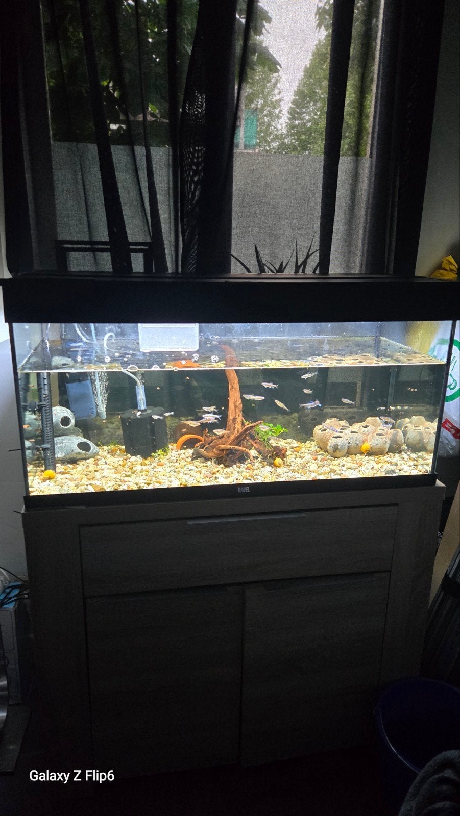 Juwel aquarium, Dieren en Toebehoren, Vissen | Aquaria en Toebehoren, Ophalen, Gebruikt, Gevuld zoetwateraquarium, Juwel